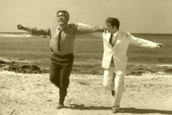 images/zorba 2.jpg